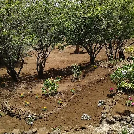 Casa Familiar En La Cueva Del Viento 1 Σπίτι διακοπών Icod De Los Vinos